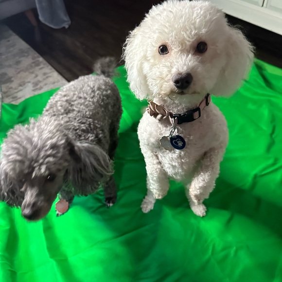 Welcome!! Thanks for visiting our closet! We look forward to visiting yo… - Picture 3 of 9